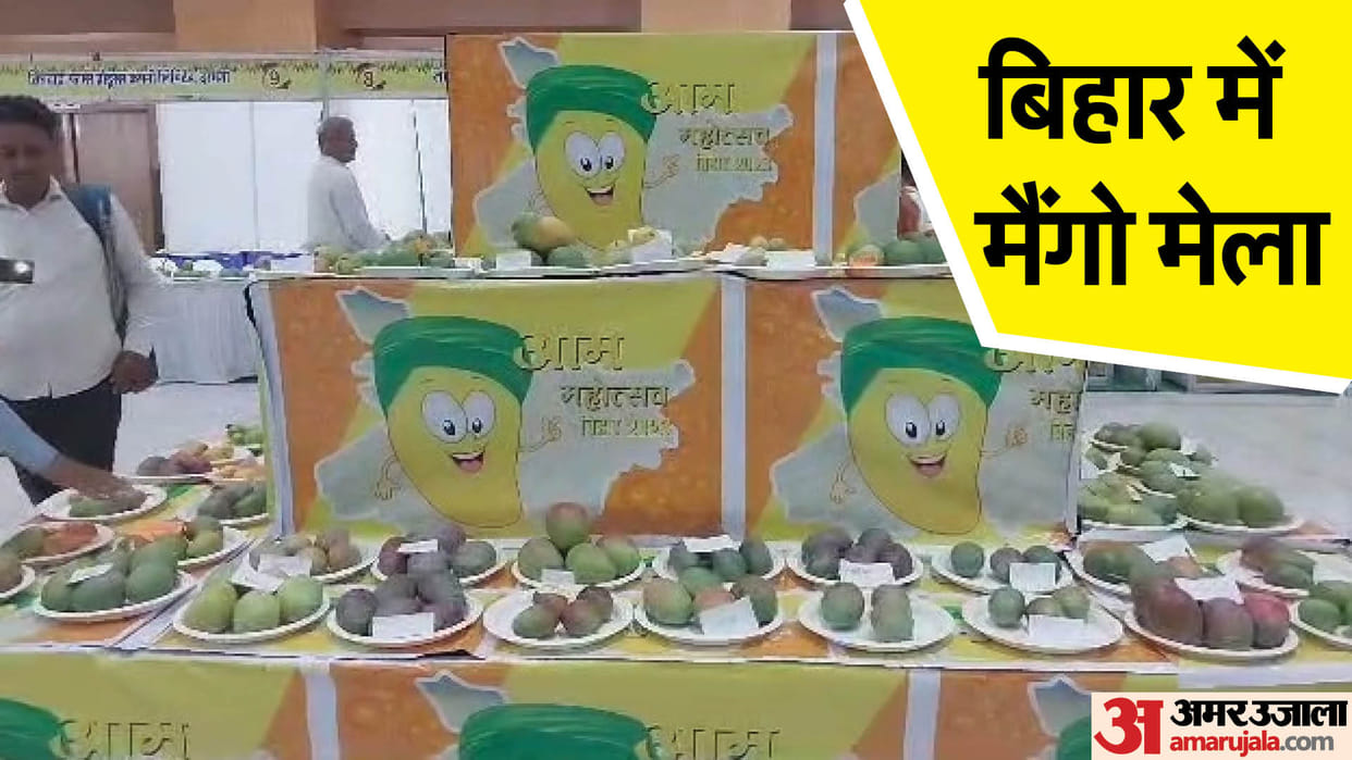 Bihar News: Festival of King of Fruits in Patna, Mango Shiromani Samman, Farmer, Mango Festival, Alphonso