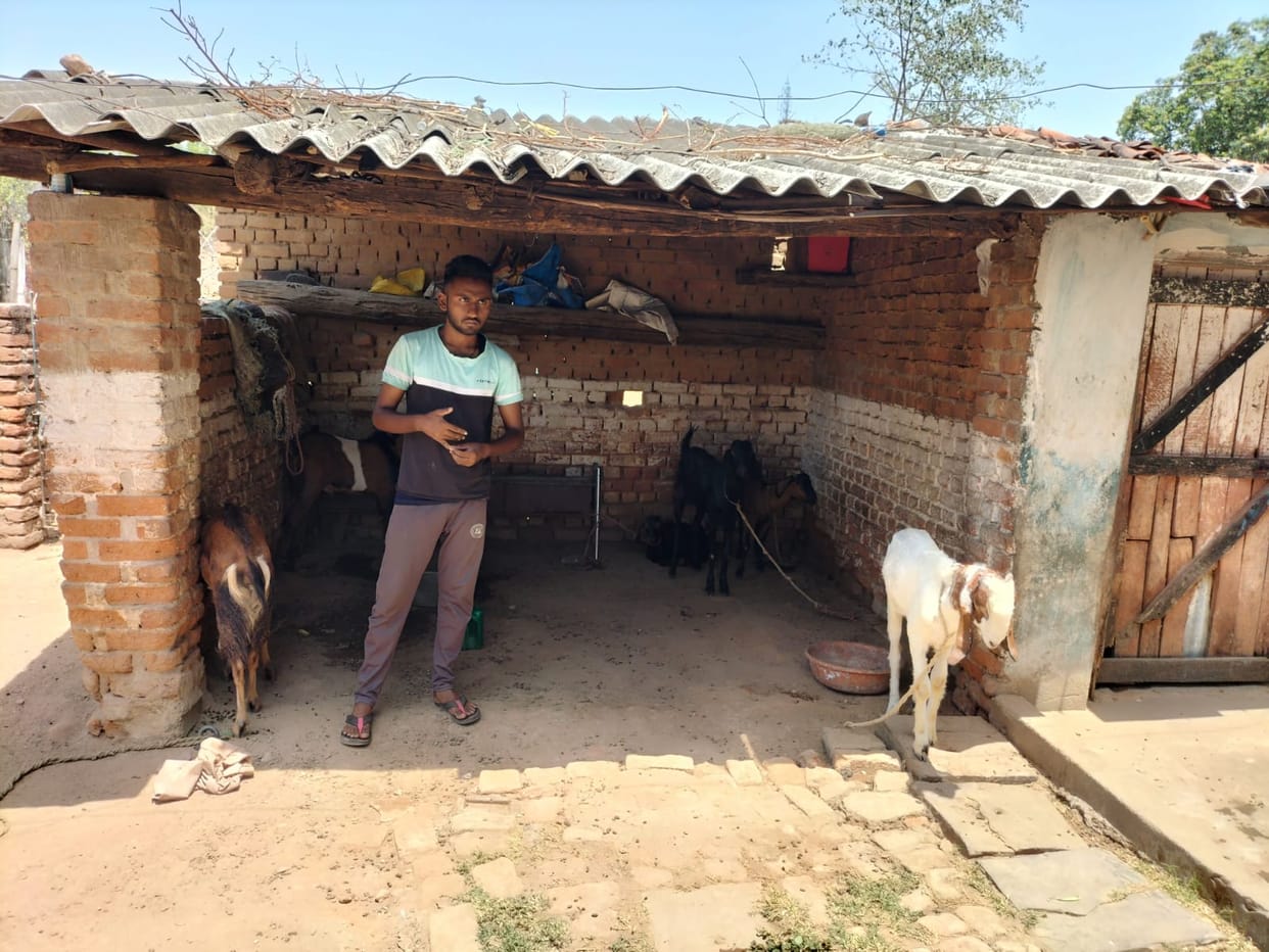 Shahdol News: Panic in Dhanpuri, in the dark of night someone is killing goats by sucking their blood