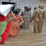 बचाव कार्य में जुटी SDRF टीम।
