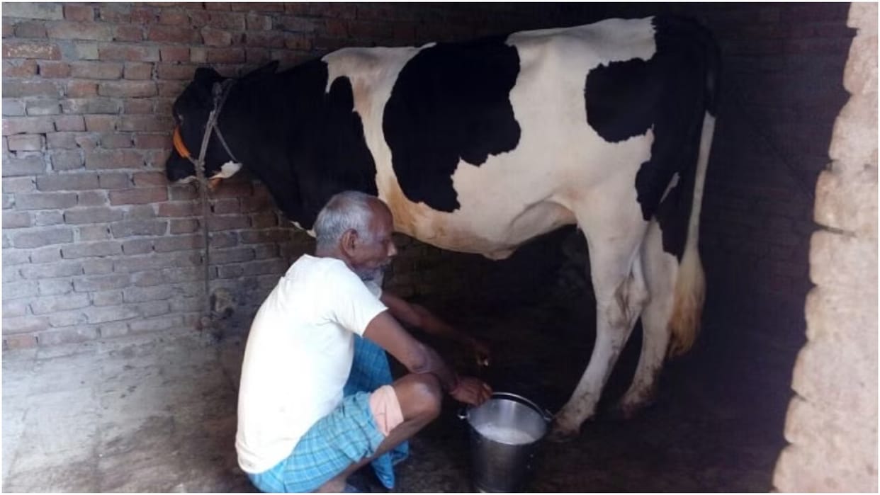 farmers income standard of living will improve by promoting agriculture allied industries animal husbandry