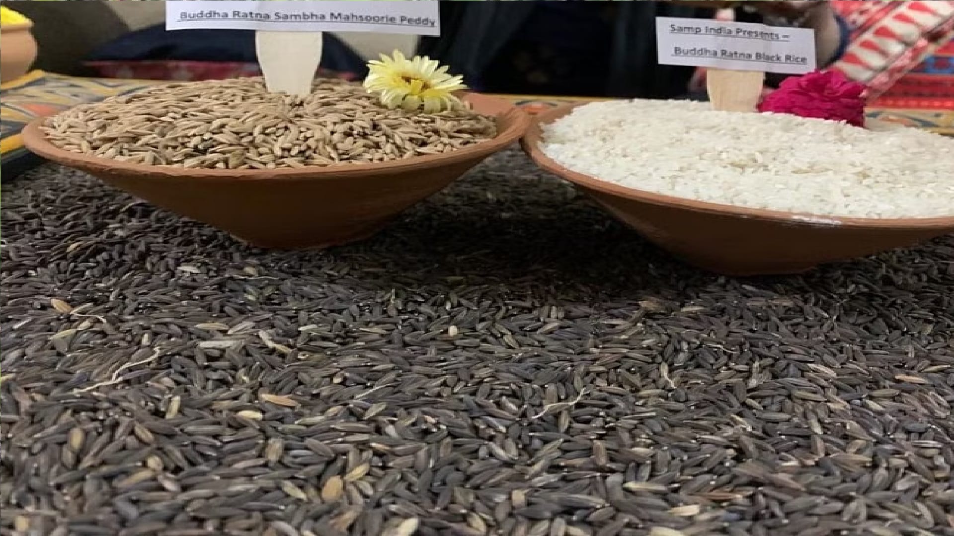 छत्तीसगढ़ में चावल की किस्में