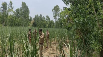 woman found dead in the sugarcane farm in bareilly