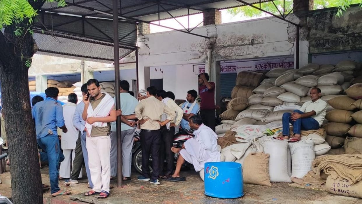 Dausa News Taramira and mustard-filled bags worth seven lakh rupees stolen from merchant shop