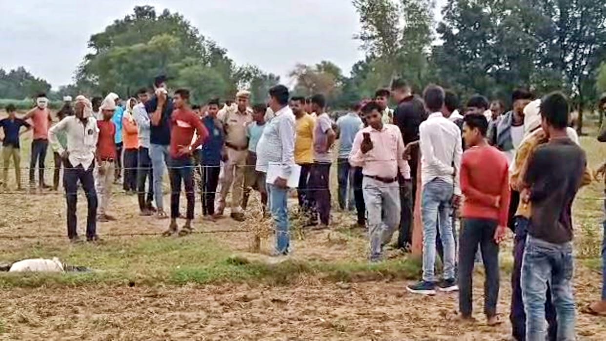 Dead body of a mason who went to Jaipur was found in the field of Dholpur village