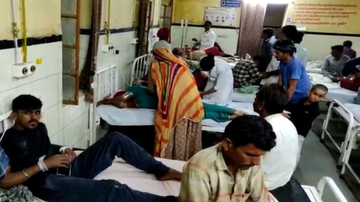 Rajasthan Snake bitten 19 people in one night in Barmer