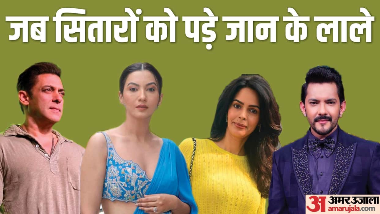 These Stars Have Been Attacked Openly Nisha Upadhyay Sanjay Leela Bhansali Salman Khan Mallika Sherawat