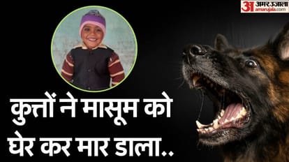 Five year old child killed by dogs in Rampur
