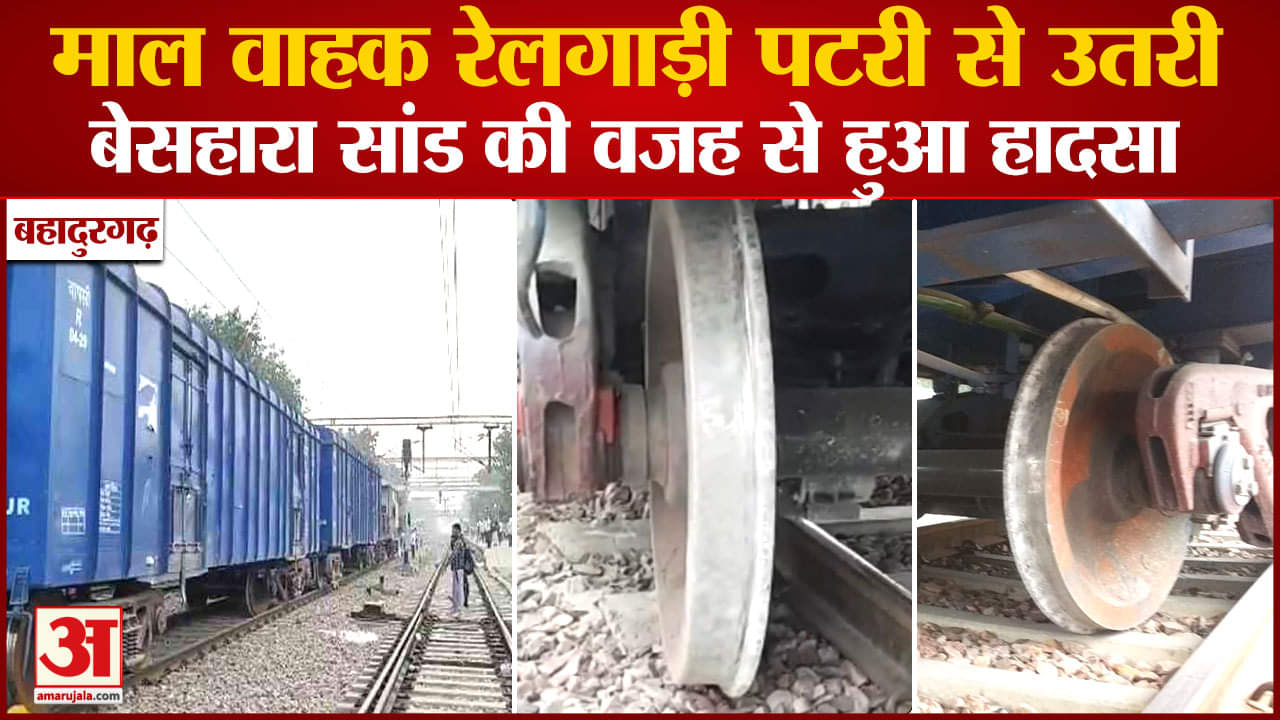 बहादुरगढ़