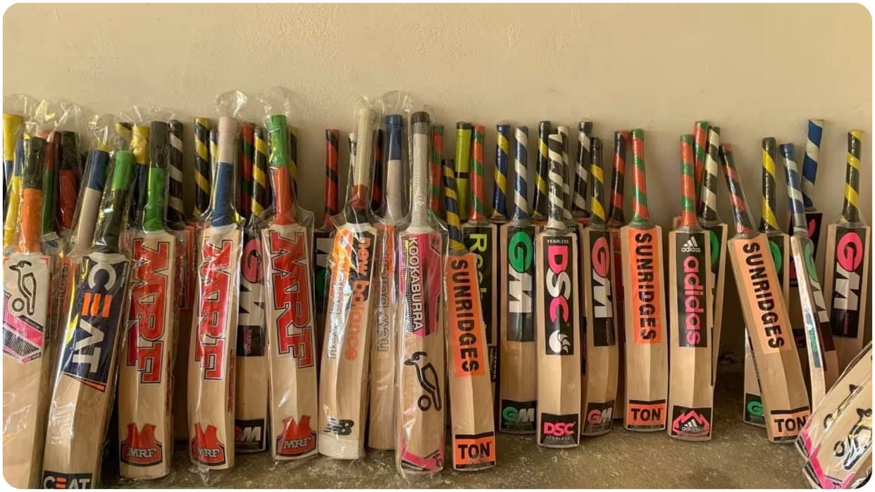 six nations players will use Kashmir willow bat instead of English Willow in ODI World Cup 2023