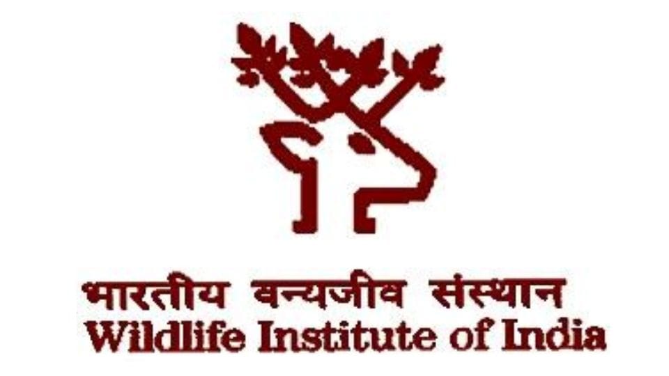 Wildlife Institute of India Recruitment for 15 Multi tasking Staff, Technician Apply at wii.gov.in