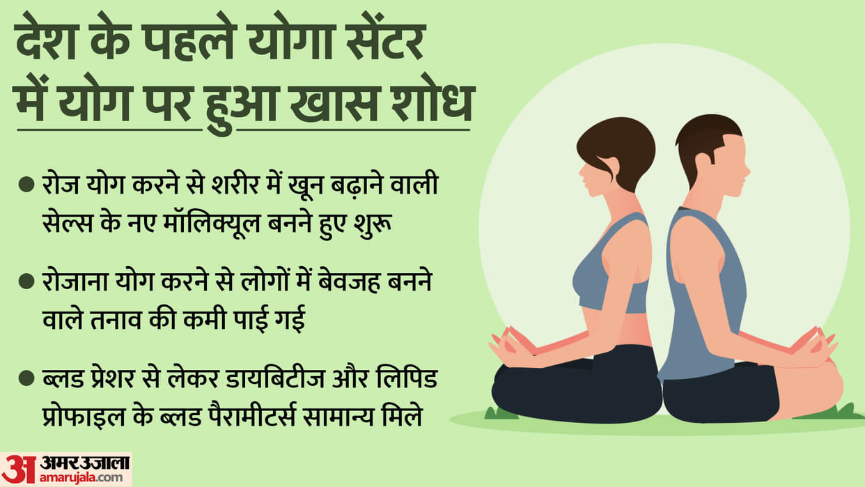 World Yoga Day: daily yoga increased stem cells to blood-producing cells, research revealed