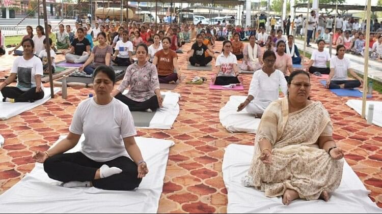 International Yoga Day celebrated in Chhattisgarh
