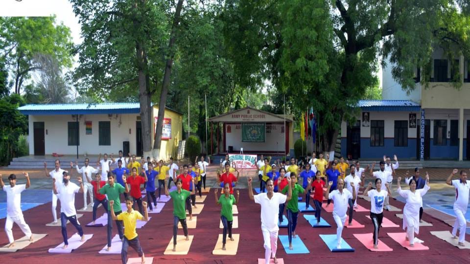 Yoga camps were organized at various places in Agra on International Yoga Day