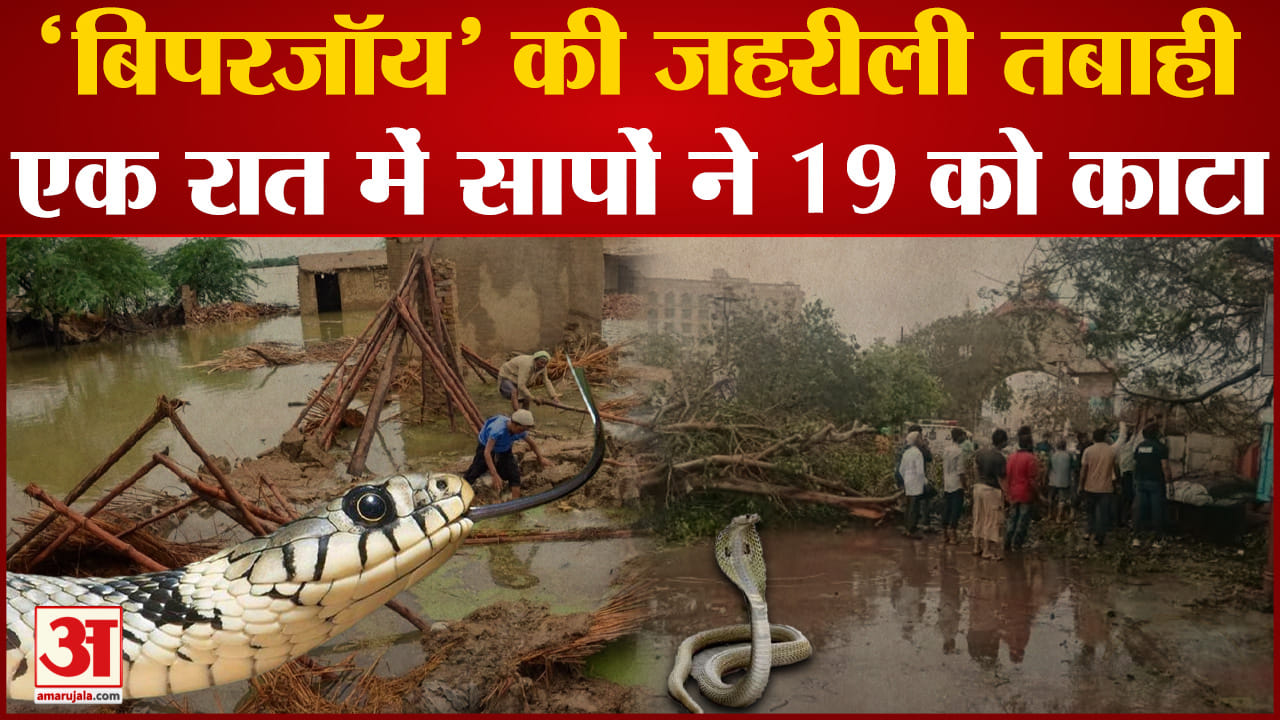 बाड़मेर