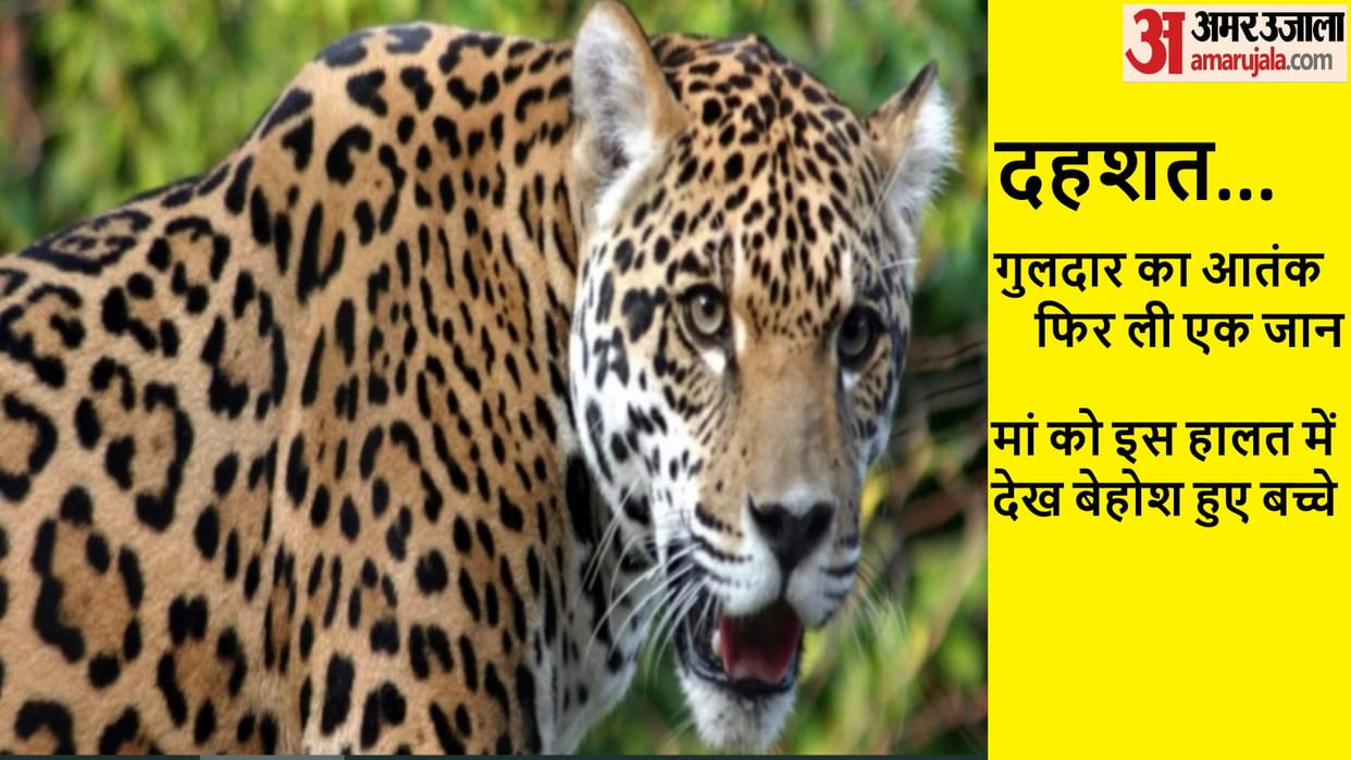Bijnor News: Guldar has attacked and killed a woman, panic among the villagers