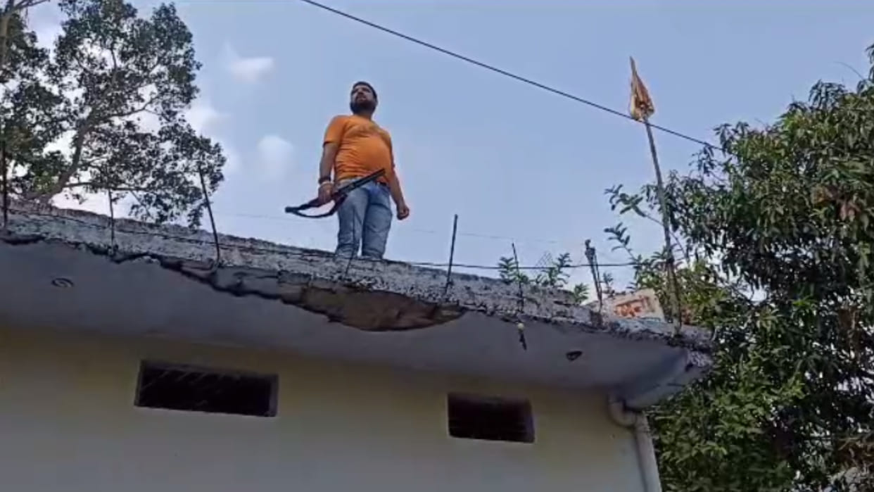Rajgarh: Mad monkey wreaks havoc in Rajgarh people raised gun for security MLA asked DFO to catch or kill