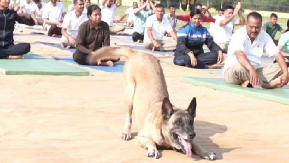 Jammu-Kashmir: Valley to Ladakh jawans do yoga amidst snow, practice yoga amid vigil Poonch LoC