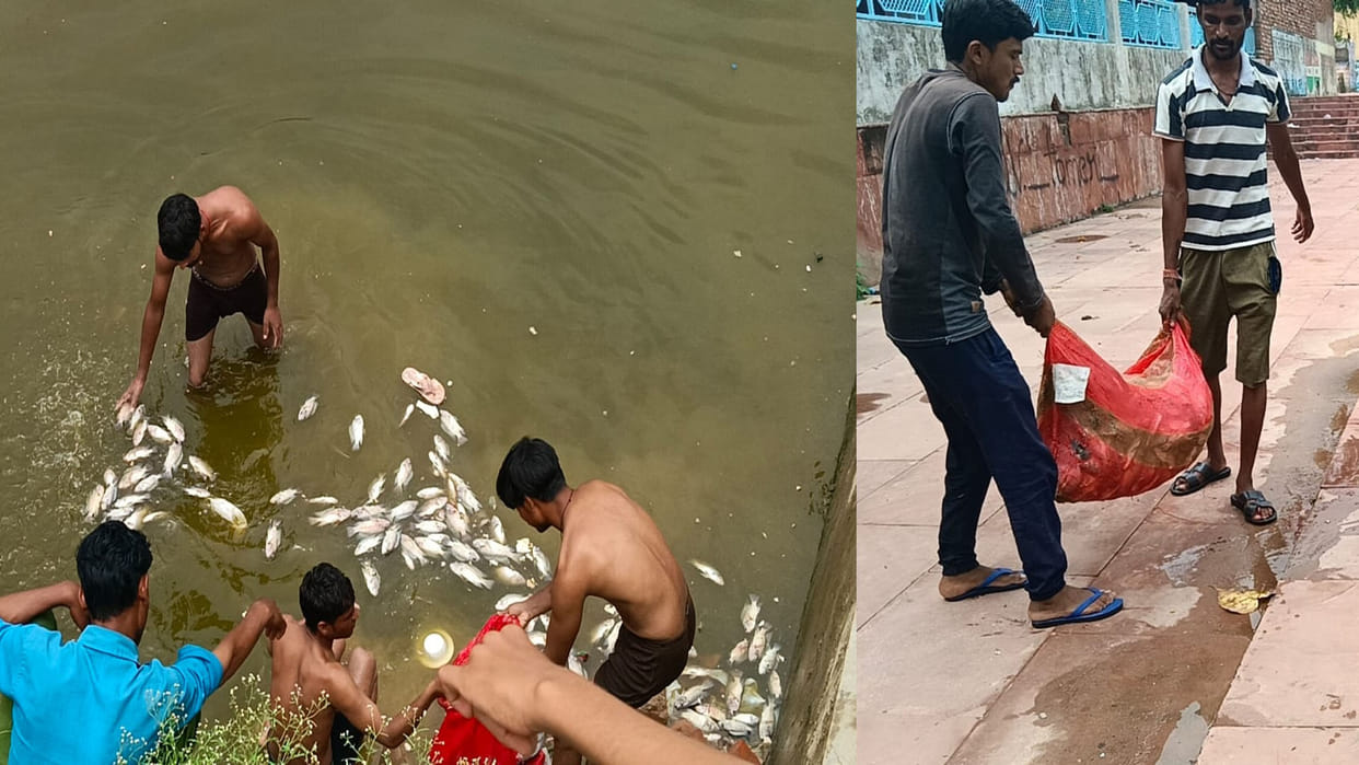Etawah: Thousands of fish died in a pond due to lack of oxygen