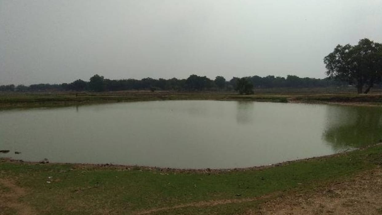 Shahdol News: The pond located in the middle of the city is being occupied by putting mud