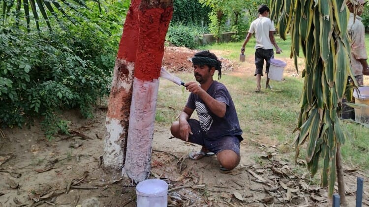 Opposition Party Meeting, CM of West Bengal, Delhi, Punjab Come Patna today; State Guest House, Nitish Kumar