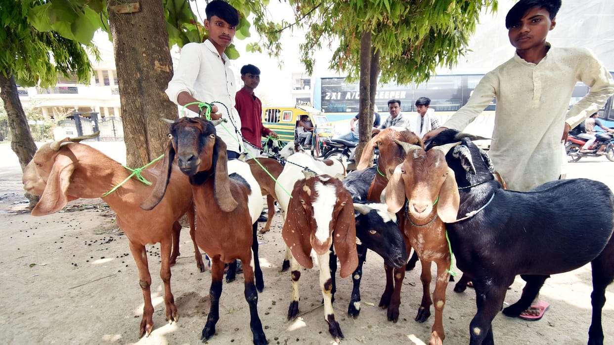 Bakrid will be celebrated preparations in full swing
