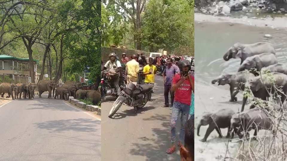 Group of elephants enter on Kotdwar-Pauri National Highway traffic Jam and panic