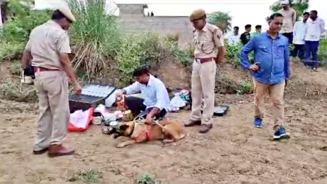 A gang of miscreants looted a house in Bharatpur