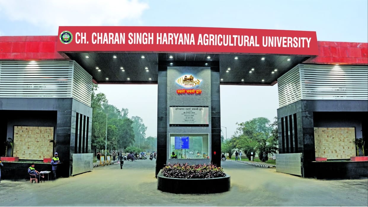 Tanzanian farmers will learn Haryana farming techniques