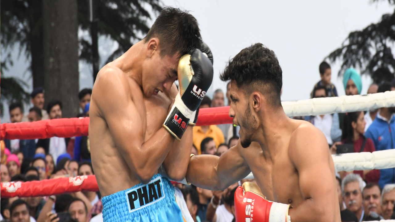 international pro boxing championship: Heavy rain of punches on the ridge of Shimla, see photos