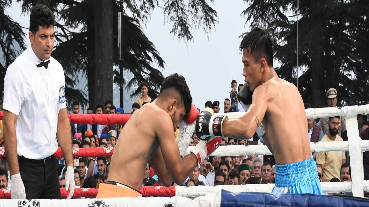international pro boxing championship: Heavy rain of punches on the ridge of Shimla, see photos