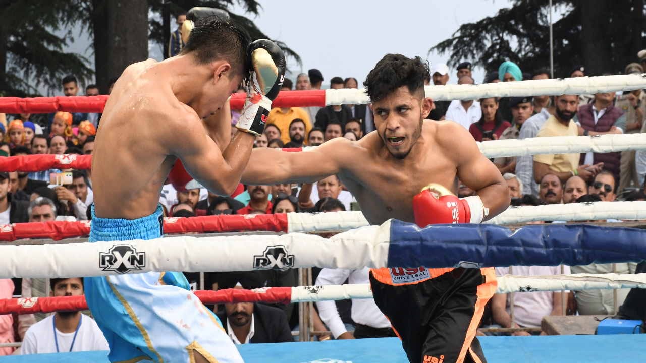 international pro boxing championship: Heavy rain of punches on the ridge of Shimla, see photos