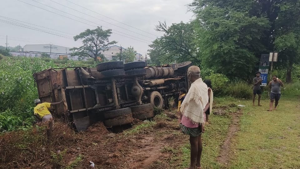 Speeding truck overturned after hitting cattle