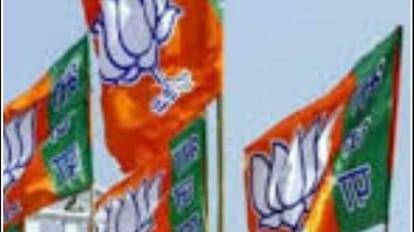 BJP meeting Lok Sabha elections Delhi, leaders Jammu Kashmir discussed with Nadda