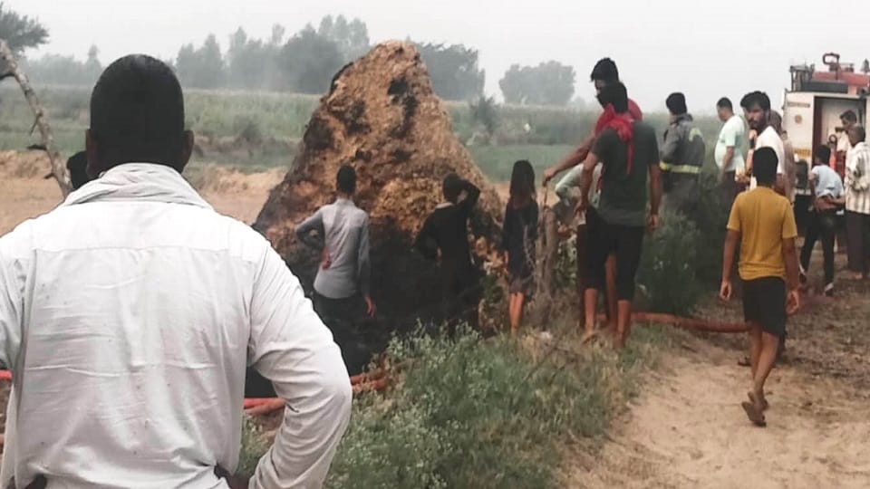 Six straw bastions set on fire, the straw turned to ashes