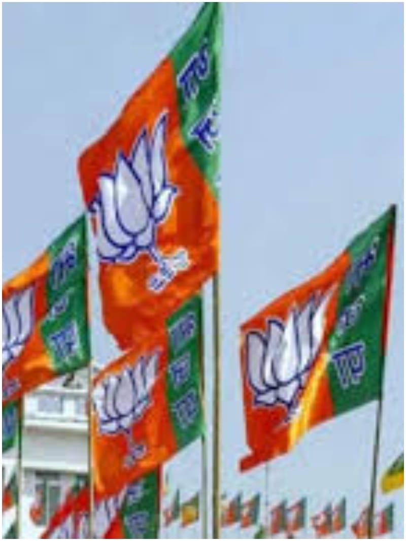 BJP meeting Lok Sabha elections Delhi, leaders Jammu Kashmir discussed with Nadda