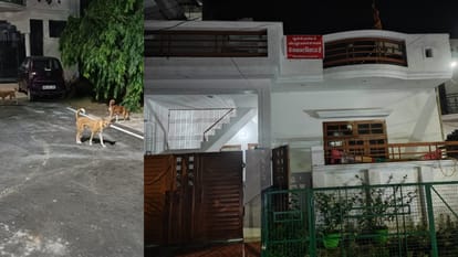 a man complain neighbour house 34 dogs in lucknow