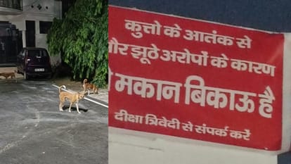 a man complain neighbour house 34 dogs in lucknow