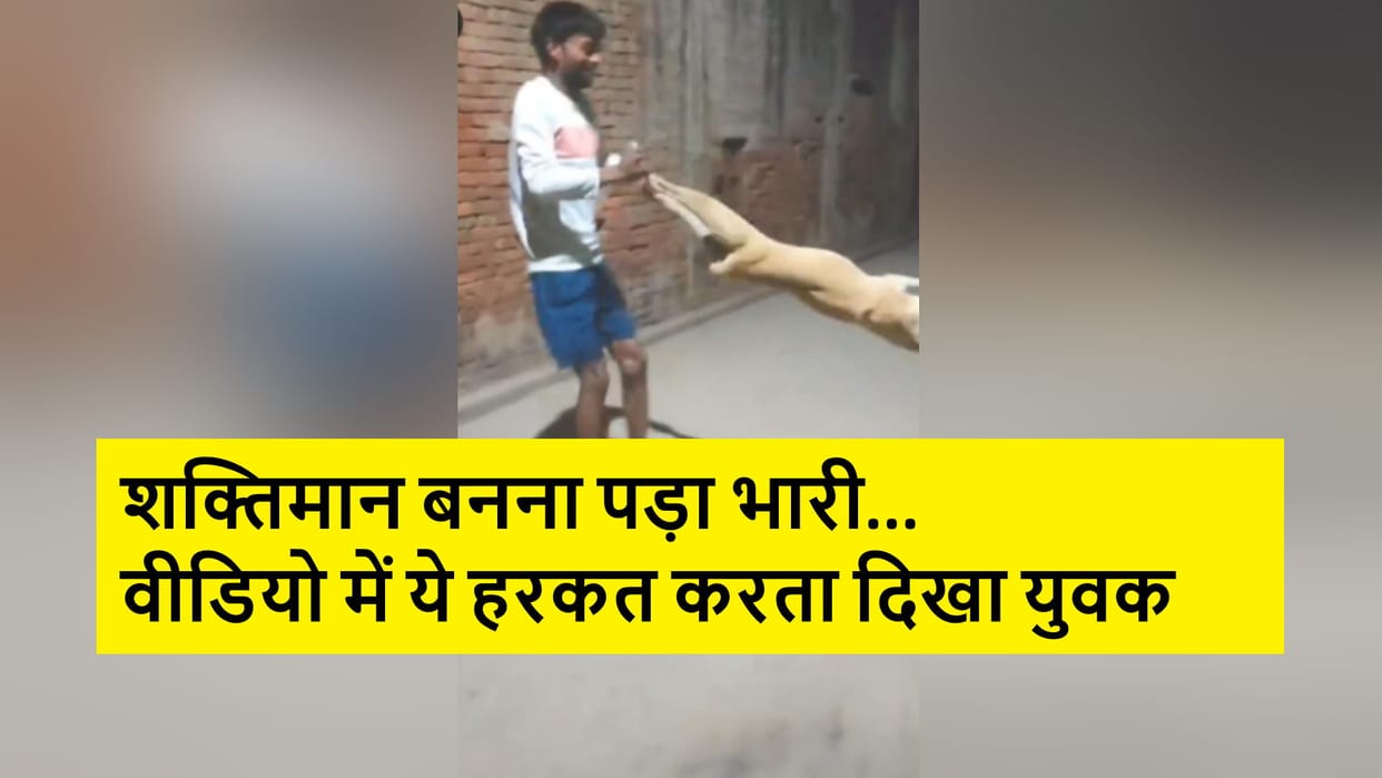 Meerut News: Sarurpur police case registered against a youth in case of dog insult
