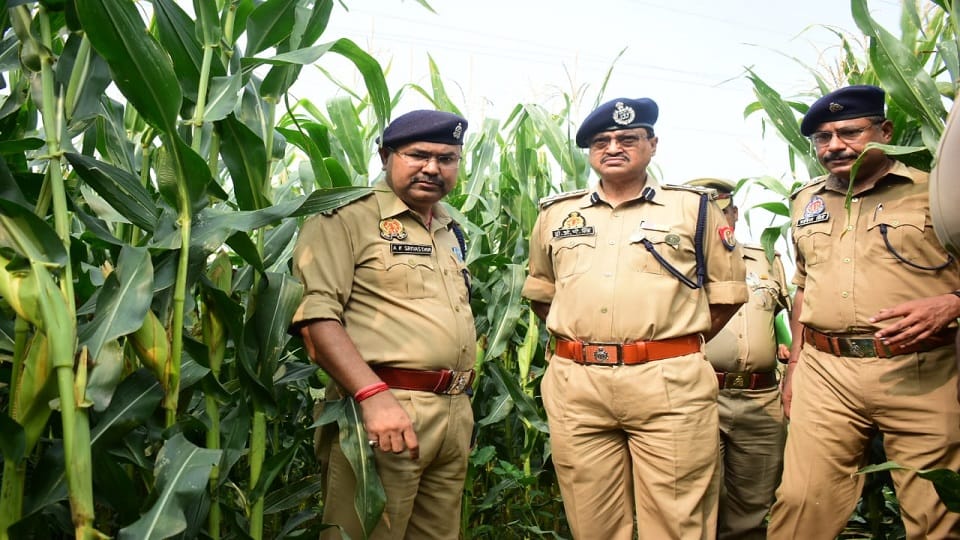 eight year old boy murdered in ujhani budaun