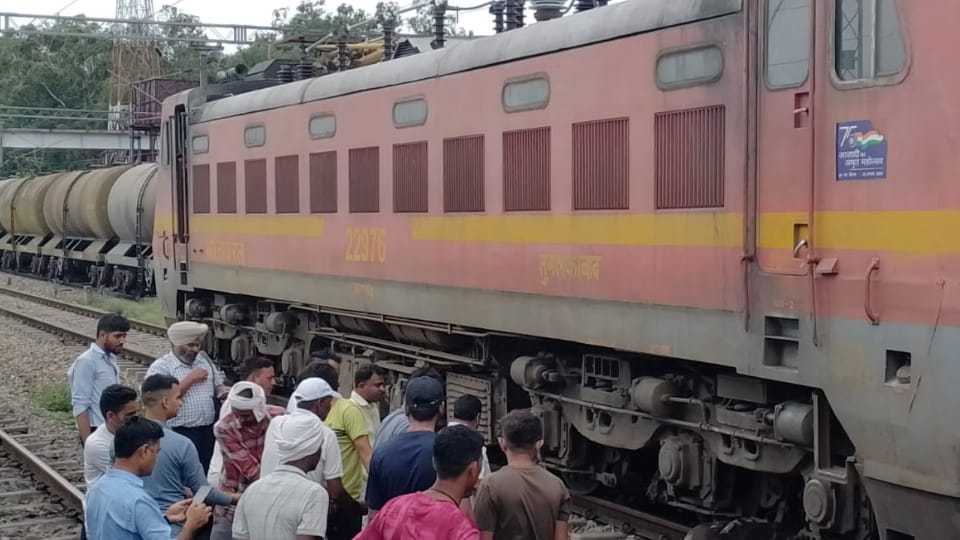 Bull came under Delhi-Pathankot Express going from Delhi to Pathankot