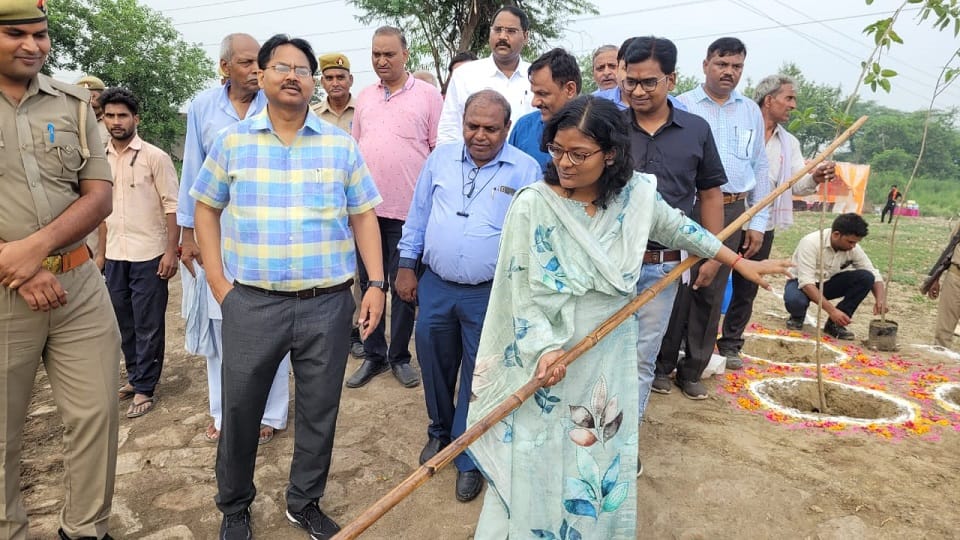 work of cleaning the Sengar river started