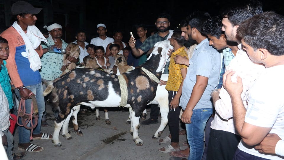 170 kg sultan drinks milk, eats butter. drinks cold drinks