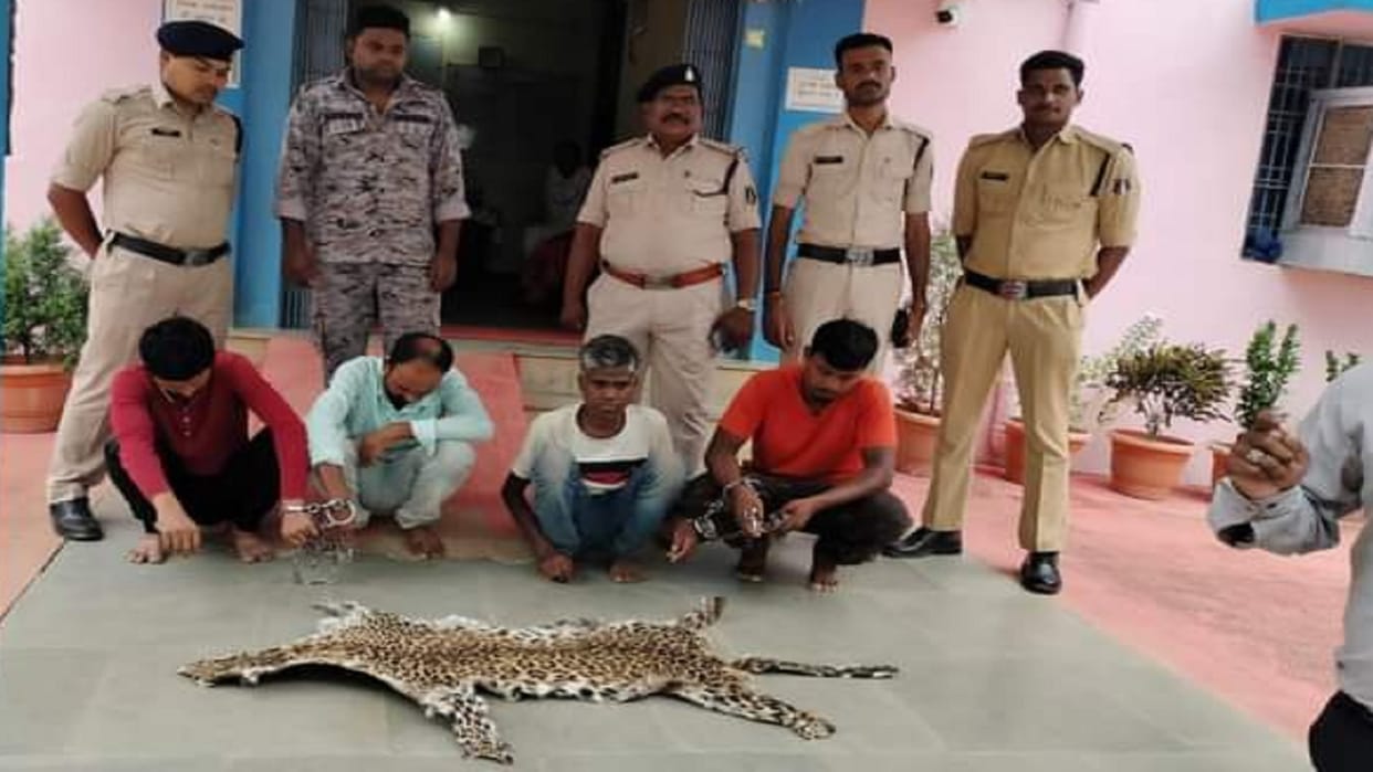 Gariaband police arrested four smugglers with leopard skin
