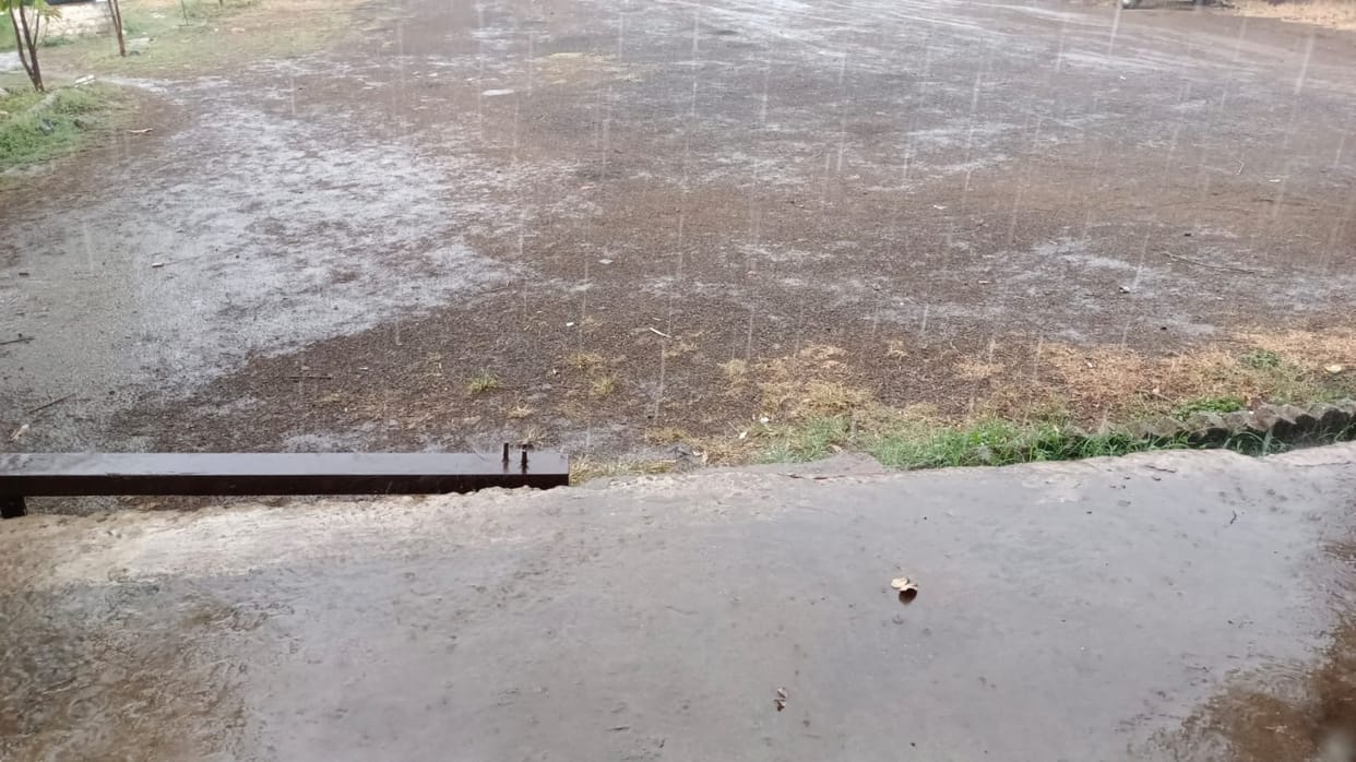 Umaria Rain: Heavy rain in Pali, people got relief from the heat