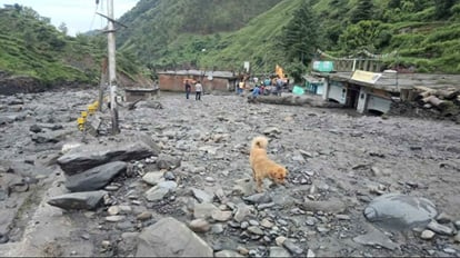 Monsoon in HP: एक हफ्ते में बारिश से हिमाचल को 242.40 करोड़ रुपये की चपत, जानें किस विभाग को कितना नुकसान Monsoon in HP: loss of Rs 242.40 crore due to rain in a week
