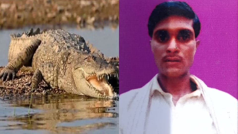 Crocodile killed young man crossing the river in Lakhimpur kheri