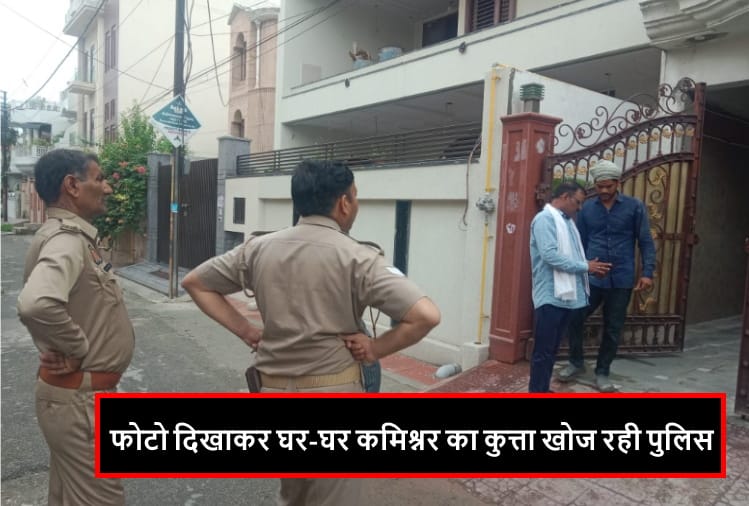 commissioners dog stolen in Meerut, chaos in administration, now police searching house to house