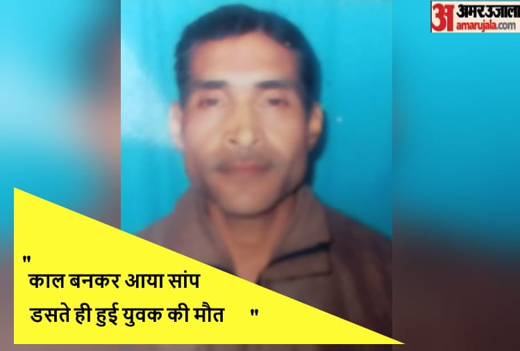 Bijnor: Youth dies due to snake bite at midnight, chaos in mfamily