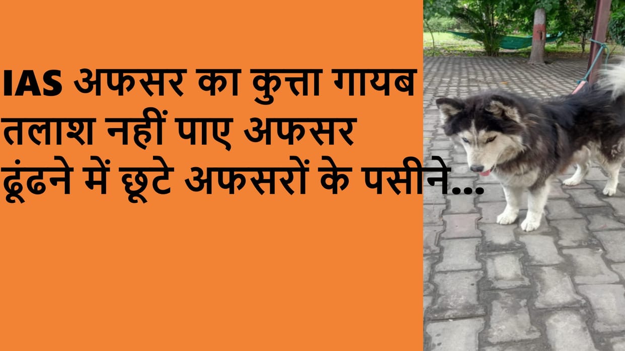 Commissioner Selva Kumari J. dog has gone missing In Meerut, not found even after 36 hours
