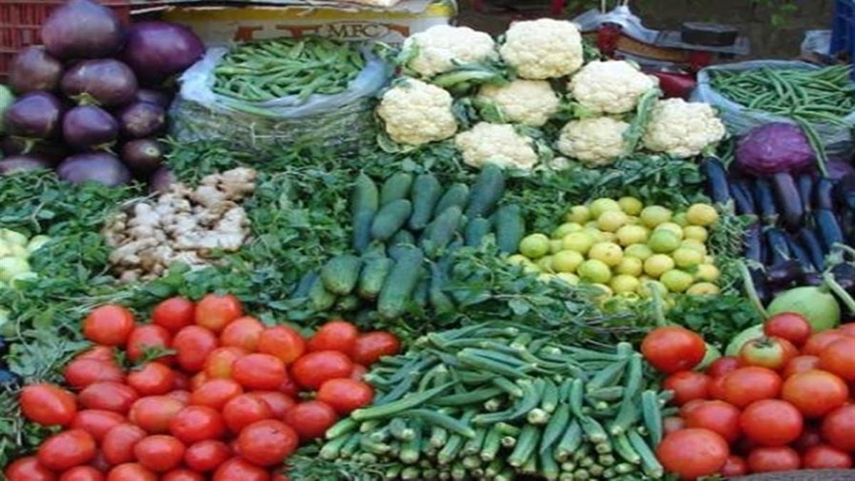 Effect of rain on vegetables, green coriander sold for Rs 200 a kg in Indore, tomato prices also high